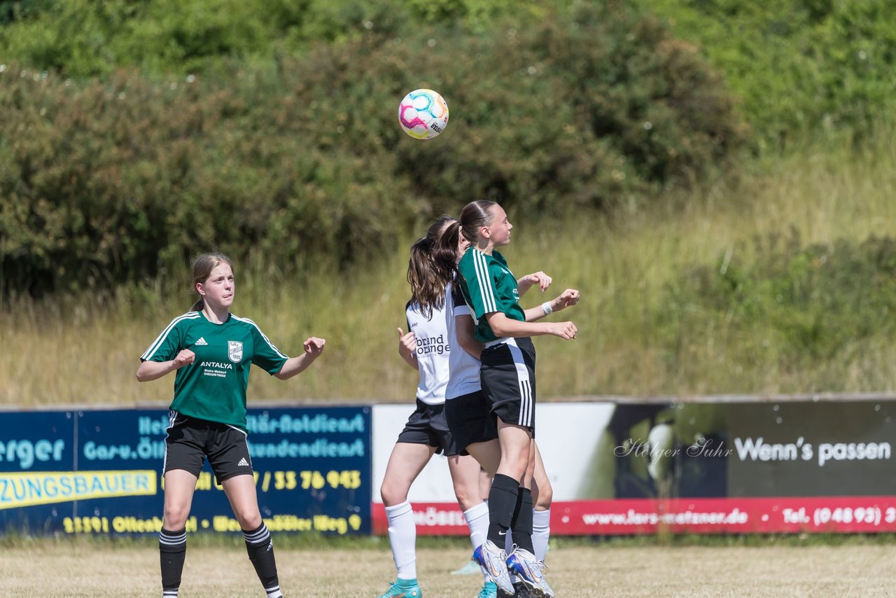 Bild 132 - wBJ TuRa Meldorf/Buesum - JFV Luebeck : Ergebnis: 1:0